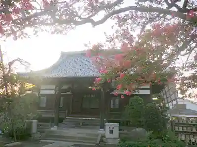 本興寺の本殿・本堂