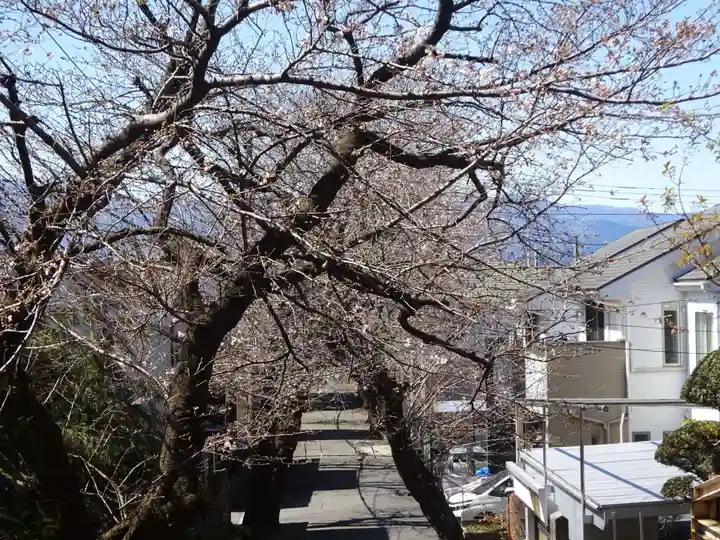 弥生神社の自然