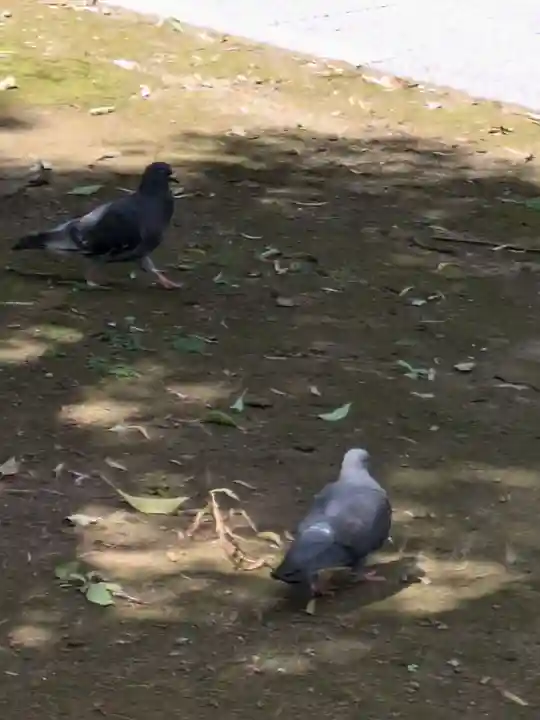 祐天寺(東京都)