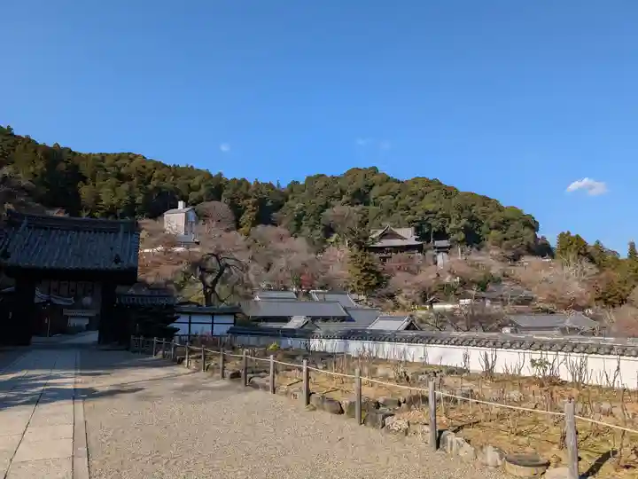 長谷寺(奈良県)