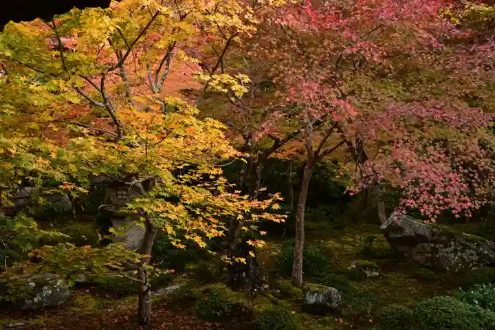 圓光寺(京都府)