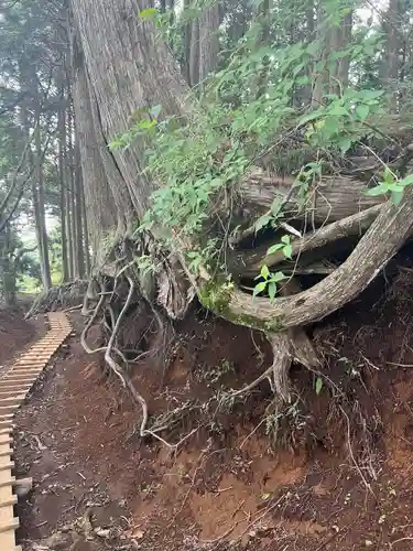 大山阿夫利神社本社(神奈川県)