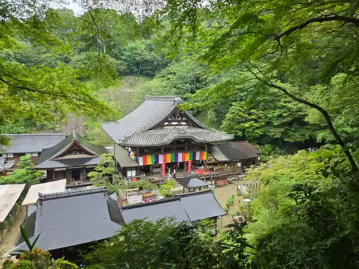 岡寺(龍蓋寺)(奈良県)