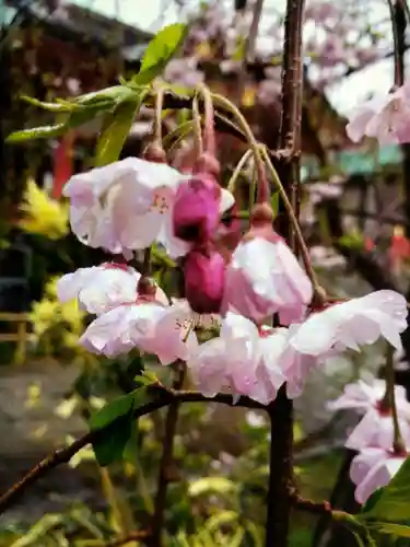 成子天神社(東京都)