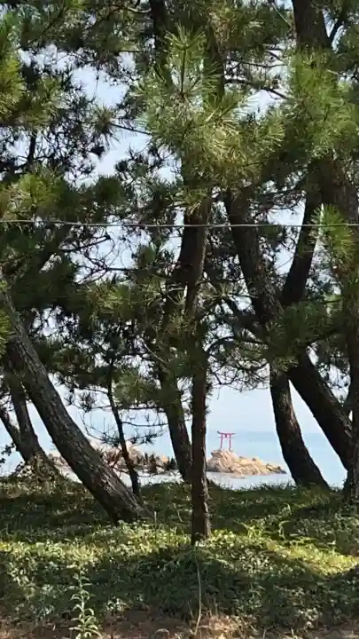 八幡奈多宮(大分県)