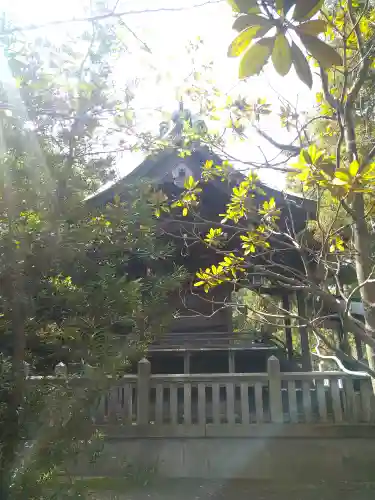 木華佐久耶比咩神社の本殿