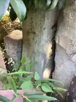 弘法堂のその他建物