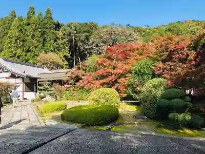 西芳寺の{uncategorized: "未分類", other: "その他", undefined: "問題あり", building: "その他建物", grave: "お墓", sacred_gate: "鳥居", guardian: "狛犬", statue: "像", buddha: "仏像", history: "歴史", nature: "自然", garden: "庭園", animal: "動物", pagoda: "塔", temizu: "手水舎", mountain_gate: "山門・神門", sanctuary: "本殿・本堂", subordinate: "末社・摂社", art: "芸術", scenery: "景色", jizo: "地蔵", ema: "絵馬", goshuin: "御朱印", omikuji: "おみくじ", items: "授与品その他", amulet: "お守り", goshuincho: "御朱印帳", eats: "食事", festival: "お祭り", votive_dance: "神楽", shichigosan: "七五三参", wedding: "結婚式", experience: "体験その他", initially: "初詣", around: "周辺", anti_infection: "感染症対策"}