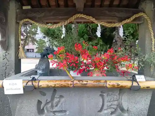 三津厳島神社(愛媛県)