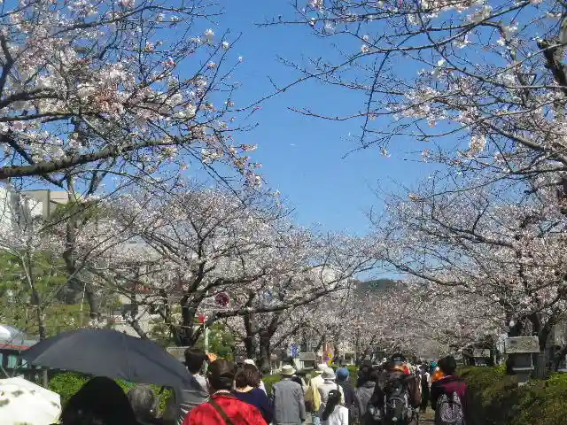 鶴岡八幡宮の自然