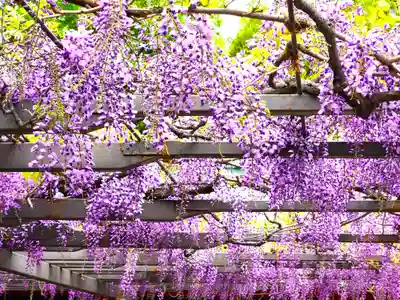 日枝神社(東京都)