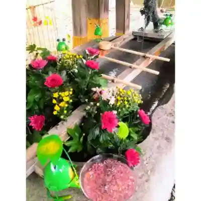 彌彦神社　(伊夜日子神社)の手水舎