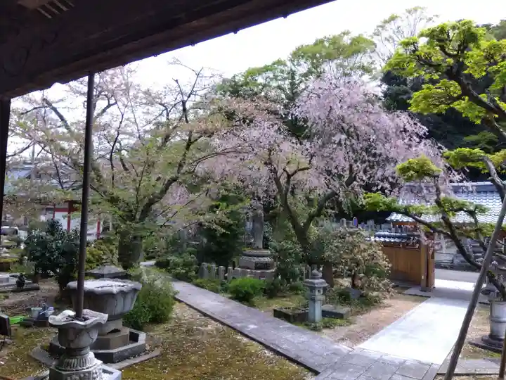 安養寺(福井県)