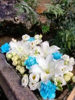 本郷氷川神社(東京都)