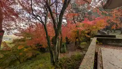 若山神社(大阪府)