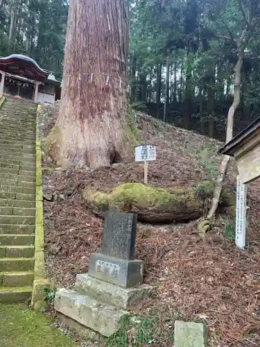 吉田八幡神社(茨城県)