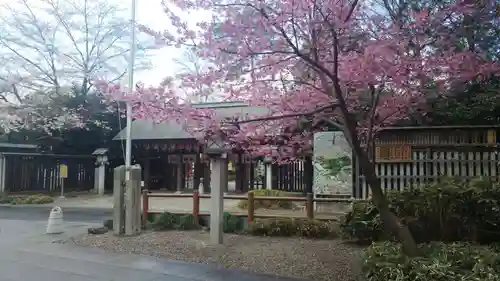 櫻木神社の庭園