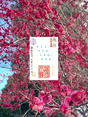 渋谷氷川神社(東京都)