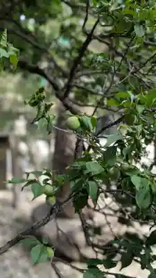 榴岡天満宮(宮城県)