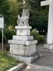 立川熊野神社の狛犬