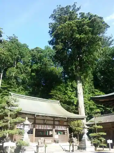 都祁水分神社の本殿・本堂