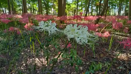 祖光院(千葉県)