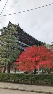 くろ谷 金戒光明寺(京都府)