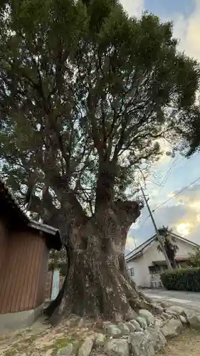 野郷神社(徳島県)