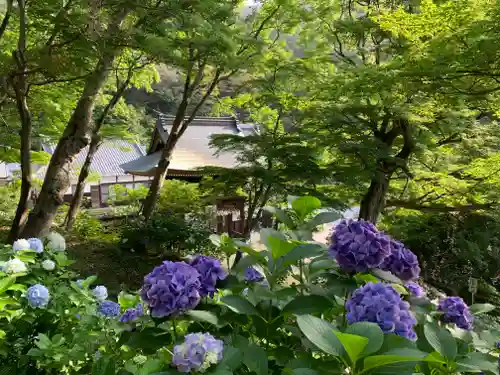 普門寺(切り絵御朱印発祥の寺)の庭園