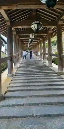 長谷寺の{uncategorized: "未分類", other: "その他", undefined: "問題あり", building: "その他建物", grave: "お墓", sacred_gate: "鳥居", guardian: "狛犬", statue: "像", buddha: "仏像", history: "歴史", nature: "自然", garden: "庭園", animal: "動物", pagoda: "塔", temizu: "手水舎", mountain_gate: "山門・神門", sanctuary: "本殿・本堂", subordinate: "末社・摂社", art: "芸術", scenery: "景色", jizo: "地蔵", ema: "絵馬", goshuin: "御朱印", omikuji: "おみくじ", items: "授与品その他", amulet: "お守り", goshuincho: "御朱印帳", eats: "食事", festival: "お祭り", votive_dance: "神楽", shichigosan: "七五三参", wedding: "結婚式", experience: "体験その他", initially: "初詣", around: "周辺", anti_infection: "感染症対策"}