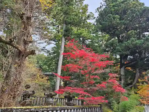 日光山輪王寺 大猷院(栃木県)