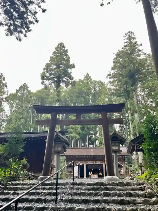 秋葉山本宮 秋葉神社 下社の{uncategorized: "未分類", other: "その他", undefined: "問題あり", building: "その他建物", grave: "お墓", sacred_gate: "鳥居", guardian: "狛犬", statue: "像", buddha: "仏像", history: "歴史", nature: "自然", garden: "庭園", animal: "動物", pagoda: "塔", temizu: "手水舎", mountain_gate: "山門・神門", sanctuary: "本殿・本堂", subordinate: "末社・摂社", art: "芸術", scenery: "景色", jizo: "地蔵", ema: "絵馬", goshuin: "御朱印", omikuji: "おみくじ", items: "授与品その他", amulet: "お守り", goshuincho: "御朱印帳", eats: "食事", festival: "お祭り", votive_dance: "神楽", shichigosan: "七五三参", wedding: "結婚式", experience: "体験その他", initially: "初詣", around: "周辺", anti_infection: "感染症対策"}