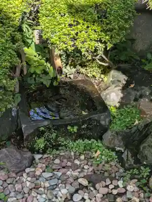 皆応寺(東京都)