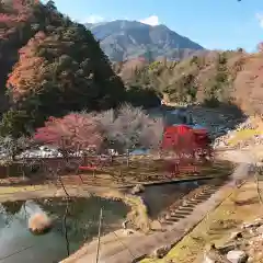 臨川寺の景色