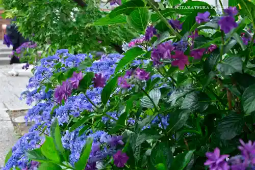 宝祥寺(東京都)