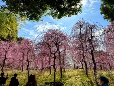 城南宮(京都府)