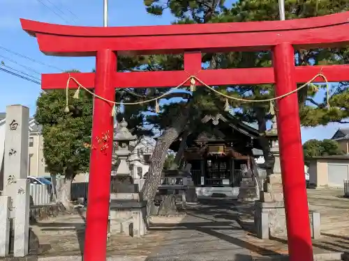 白山社の{uncategorized: "未分類", other: "その他", undefined: "問題あり", building: "その他建物", grave: "お墓", sacred_gate: "鳥居", guardian: "狛犬", statue: "像", buddha: "仏像", history: "歴史", nature: "自然", garden: "庭園", animal: "動物", pagoda: "塔", temizu: "手水舎", mountain_gate: "山門・神門", sanctuary: "本殿・本堂", subordinate: "末社・摂社", art: "芸術", scenery: "景色", jizo: "地蔵", ema: "絵馬", goshuin: "御朱印", omikuji: "おみくじ", items: "授与品その他", amulet: "お守り", goshuincho: "御朱印帳", eats: "食事", festival: "お祭り", votive_dance: "神楽", shichigosan: "七五三参", wedding: "結婚式", experience: "体験その他", initially: "初詣", around: "周辺", anti_infection: "感染症対策"}