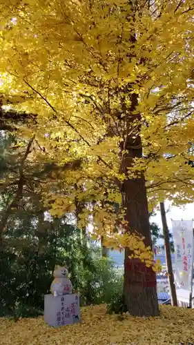 鹿角八坂神社の景色