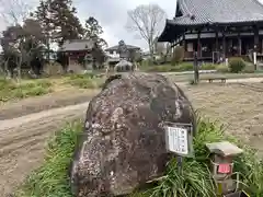 般若寺 ❁﻿コスモス寺❁(奈良県)