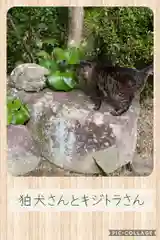 吉備津神社の狛犬