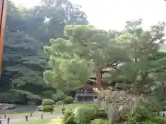 青蓮院門跡の庭園