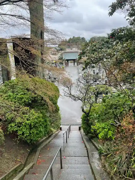 最福寺の{uncategorized: "未分類", other: "その他", undefined: "問題あり", building: "その他建物", grave: "お墓", sacred_gate: "鳥居", guardian: "狛犬", statue: "像", buddha: "仏像", history: "歴史", nature: "自然", garden: "庭園", animal: "動物", pagoda: "塔", temizu: "手水舎", mountain_gate: "山門・神門", sanctuary: "本殿・本堂", subordinate: "末社・摂社", art: "芸術", scenery: "景色", jizo: "地蔵", ema: "絵馬", goshuin: "御朱印", omikuji: "おみくじ", items: "授与品その他", amulet: "お守り", goshuincho: "御朱印帳", eats: "食事", festival: "お祭り", votive_dance: "神楽", shichigosan: "七五三参", wedding: "結婚式", experience: "体験その他", initially: "初詣", around: "周辺", anti_infection: "感染症対策"}