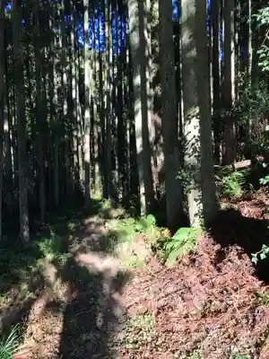 白山神社の周辺