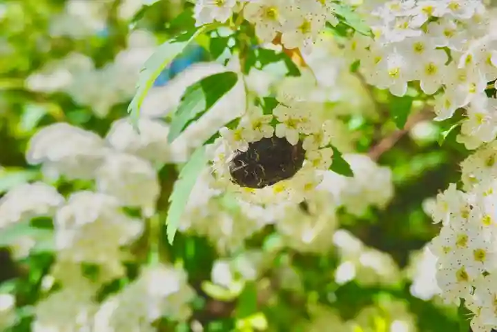 海龍王寺(奈良県)