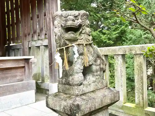 貝野神社(西貝野)の狛犬