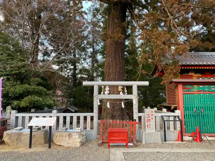 大杉神社の自然