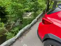 高龍神社の{uncategorized: "未分類", other: "その他", undefined: "問題あり", building: "その他建物", grave: "お墓", sacred_gate: "鳥居", guardian: "狛犬", statue: "像", buddha: "仏像", history: "歴史", nature: "自然", garden: "庭園", animal: "動物", pagoda: "塔", temizu: "手水舎", mountain_gate: "山門・神門", sanctuary: "本殿・本堂", subordinate: "末社・摂社", art: "芸術", scenery: "景色", jizo: "地蔵", ema: "絵馬", goshuin: "御朱印", omikuji: "おみくじ", items: "授与品その他", amulet: "お守り", goshuincho: "御朱印帳", eats: "食事", festival: "お祭り", votive_dance: "神楽", shichigosan: "七五三参", wedding: "結婚式", experience: "体験その他", initially: "初詣", around: "周辺", anti_infection: "感染症対策"}