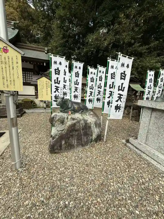 白山神社の{uncategorized: "未分類", other: "その他", undefined: "問題あり", building: "その他建物", grave: "お墓", sacred_gate: "鳥居", guardian: "狛犬", statue: "像", buddha: "仏像", history: "歴史", nature: "自然", garden: "庭園", animal: "動物", pagoda: "塔", temizu: "手水舎", mountain_gate: "山門・神門", sanctuary: "本殿・本堂", subordinate: "末社・摂社", art: "芸術", scenery: "景色", jizo: "地蔵", ema: "絵馬", goshuin: "御朱印", omikuji: "おみくじ", items: "授与品その他", amulet: "お守り", goshuincho: "御朱印帳", eats: "食事", festival: "お祭り", votive_dance: "神楽", shichigosan: "七五三参", wedding: "結婚式", experience: "体験その他", initially: "初詣", around: "周辺", anti_infection: "感染症対策"}