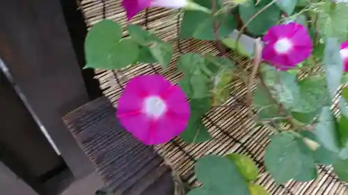 阿邪訶根神社の自然