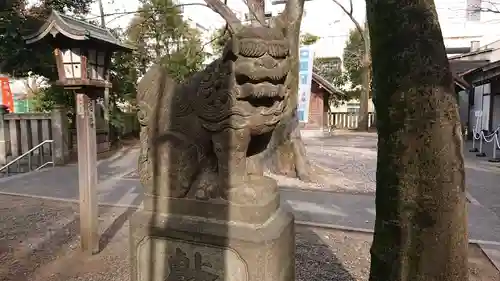 富岡八幡宮の狛犬